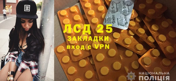 ГАЛЛЮЦИНОГЕННЫЕ ГРИБЫ Алексин